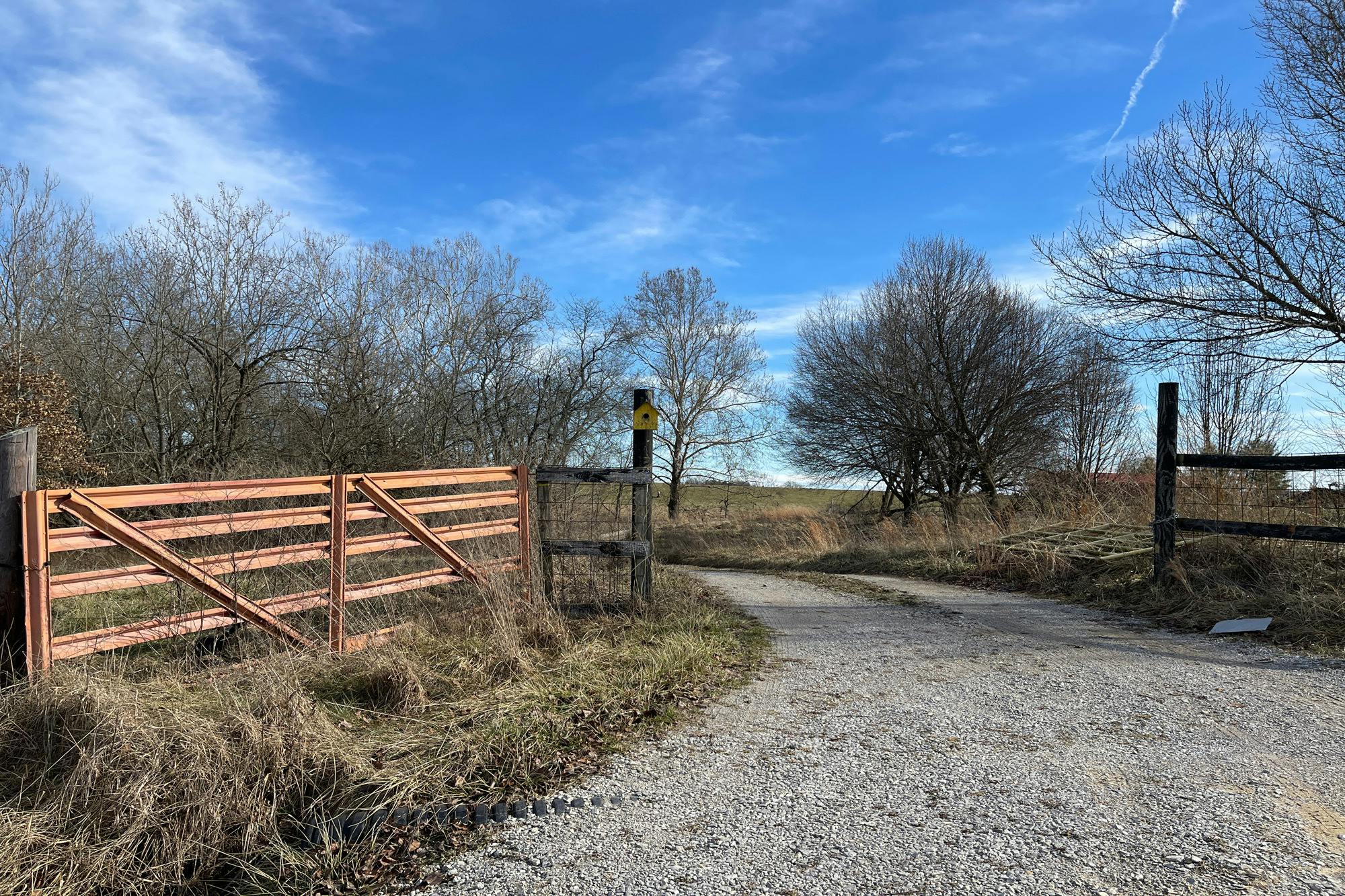 Banner Springs Rd, Jamestown, TN 38556 #1