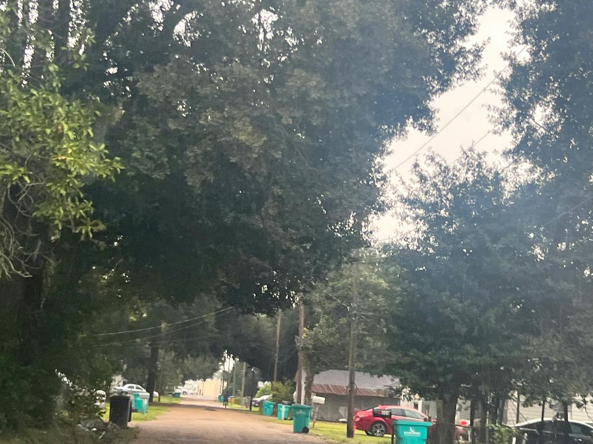 Jackson St, Ville Platte, LA 70586