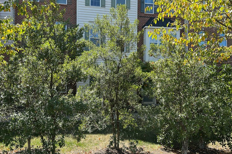 13976 Cannondale Way #94 Gainesville, VA 20155, Prince William County