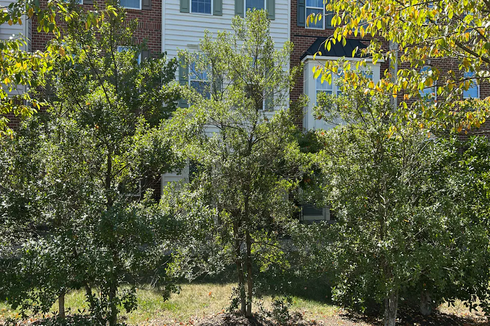 13976 Cannondale Way #94 Gainesville, VA 20155, Prince William County