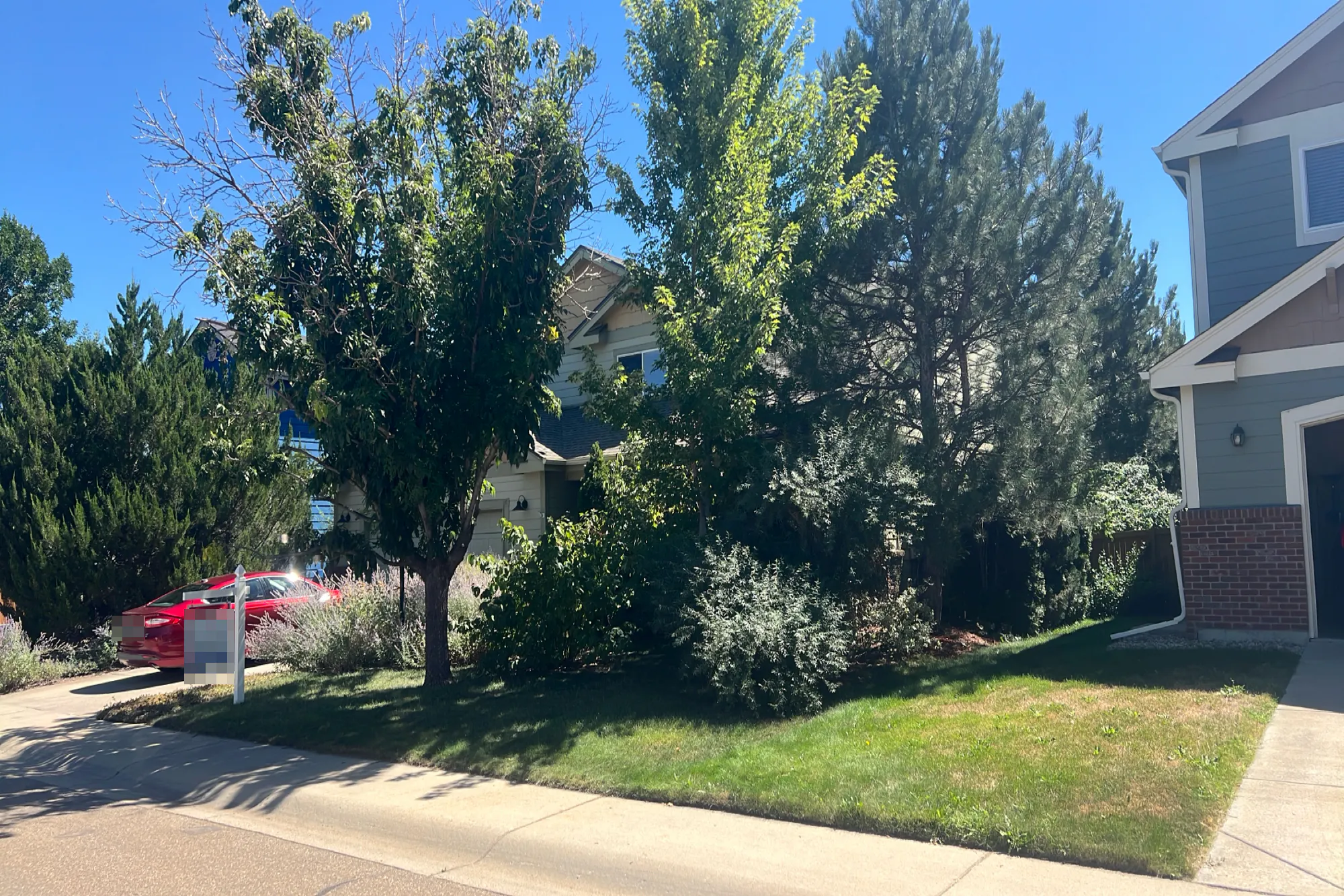 Ulysses Ave, Firestone, CO 80504 #1