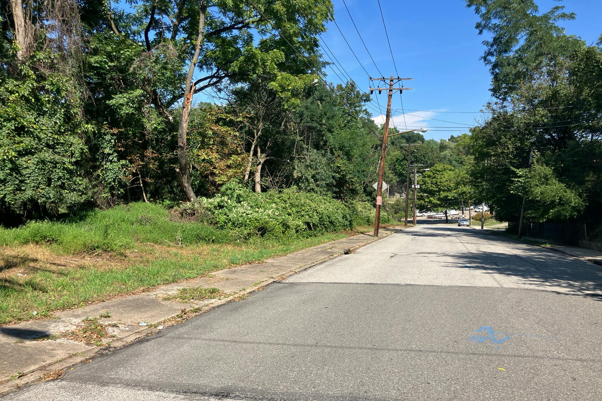 Wilson Ave, Pittsburgh, PA 15214