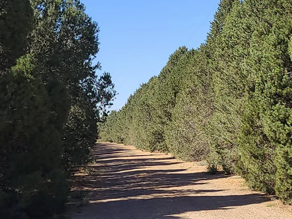 27600 S Soncy Rd Canyon, TX 79015, Randall County