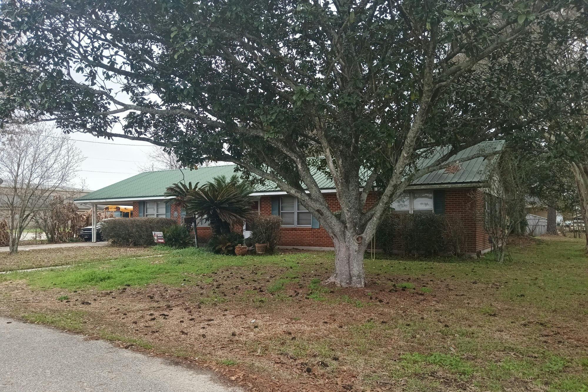 Francise St, White Castle, LA 70788 #1