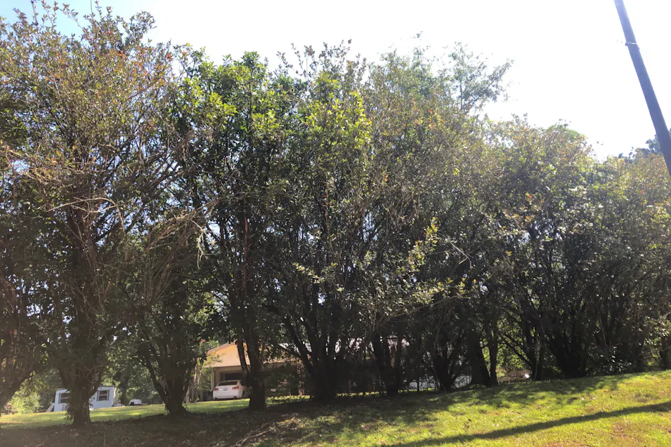 3245 Bonifay Chipley Rd Bonifay, FL 32425, Holmes County