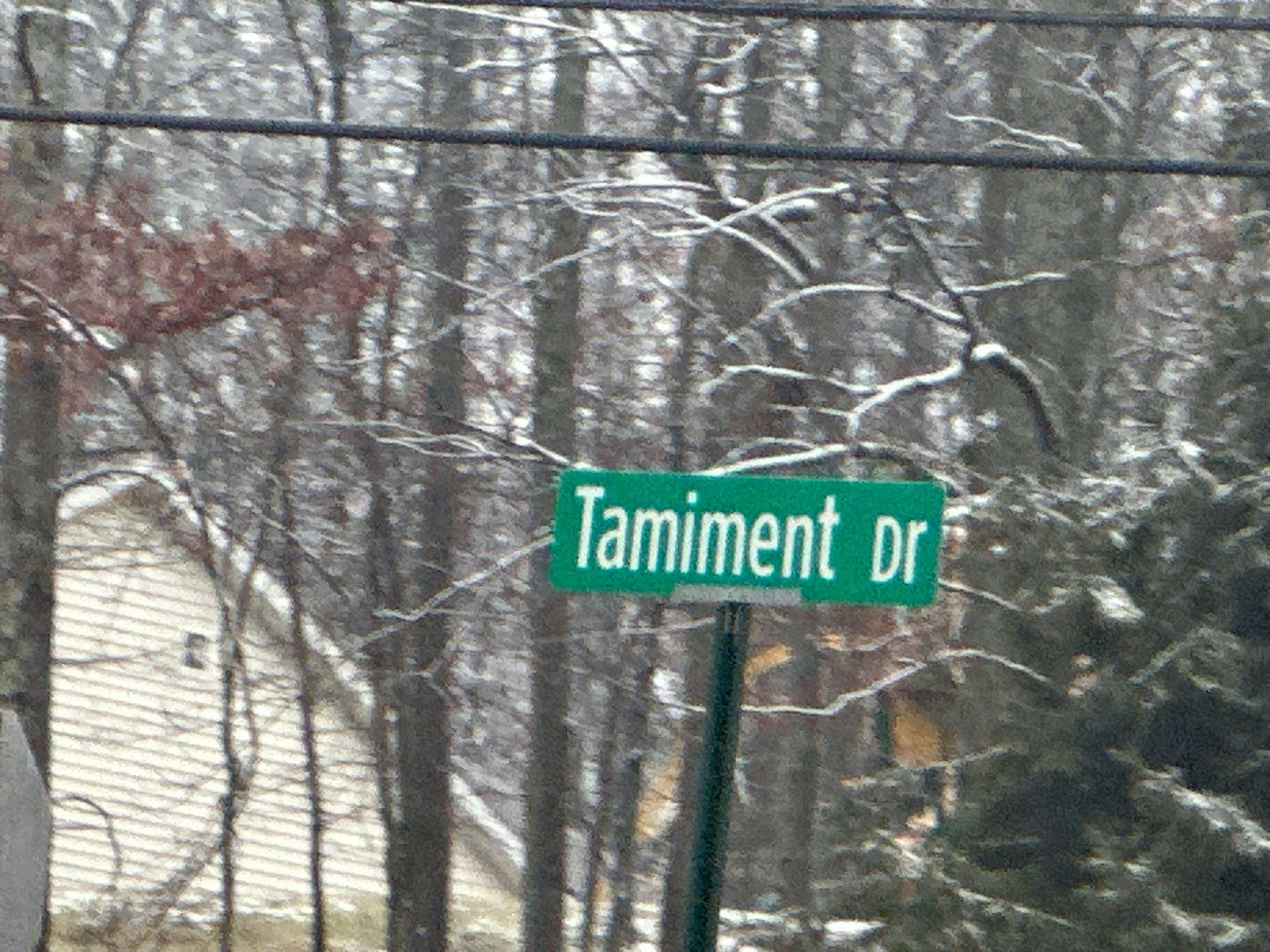 Long Lake Rd, Tamiment, PA 18371