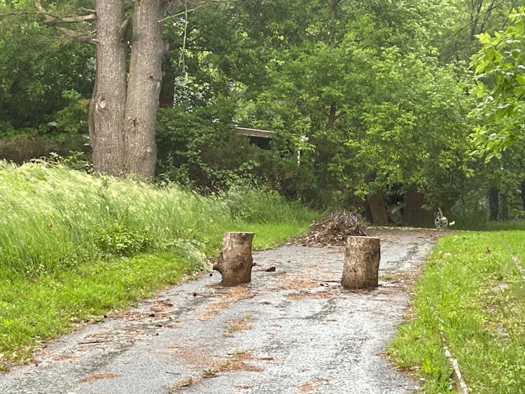 479 Main St Etna, NY 13062, Tompkins County