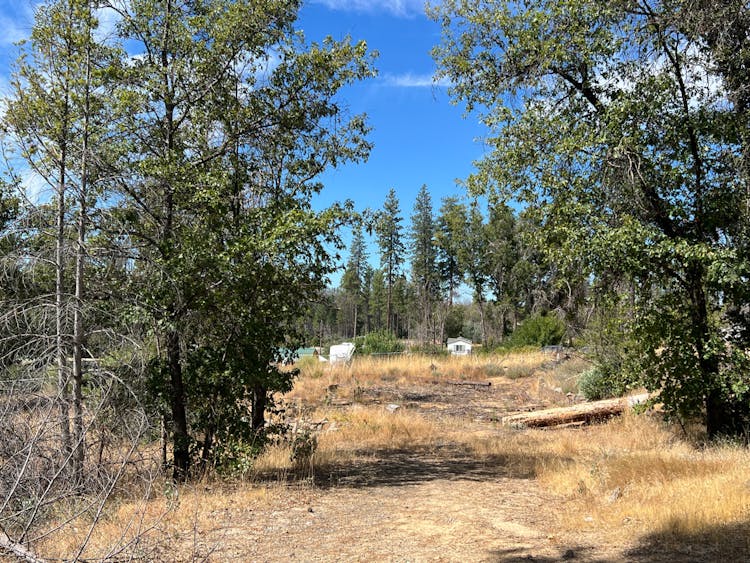 15 Ernie Lane Berry Creek, CA 95916, Butte County