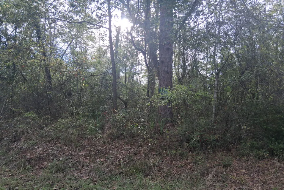 258 Hatchett Road Lamont, FL 32336, Jefferson County