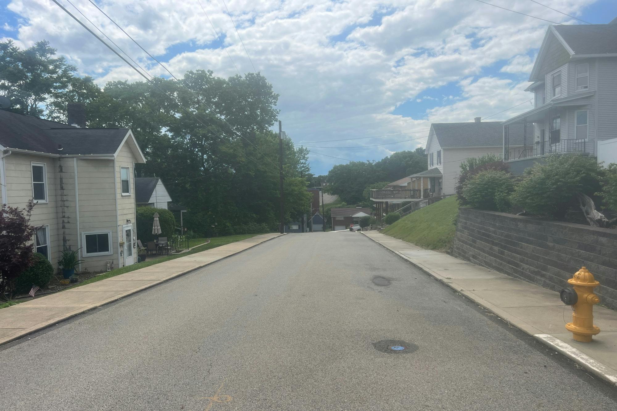 Vine St, Canonsburg, PA 15317