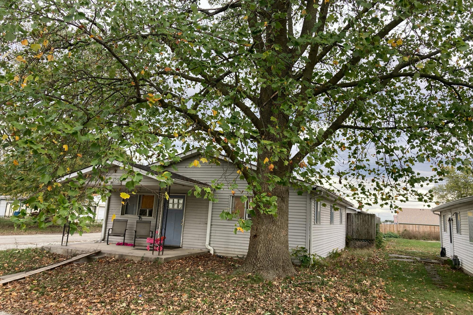 Mcclure St, Indianapolis, IN 46241 #1