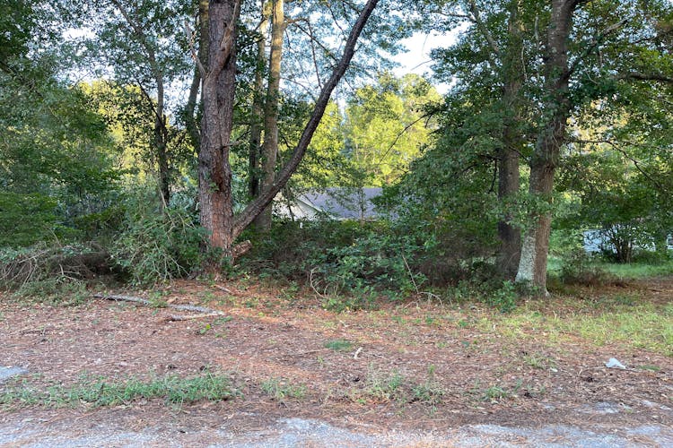 2930 Forest Lake Drive Sumter, SC 29154, Sumter County
