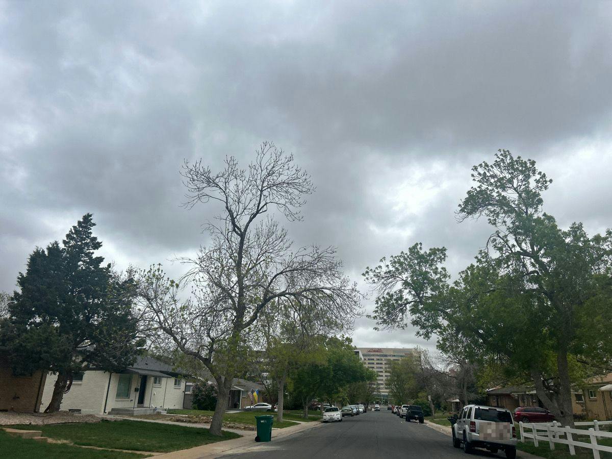 Scranton St, Aurora, CO 80011 #1