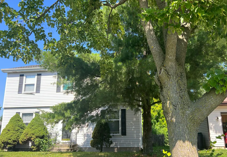 2514 Ruth Fitzgerald Dr Plainfield, IL 60586, Will County