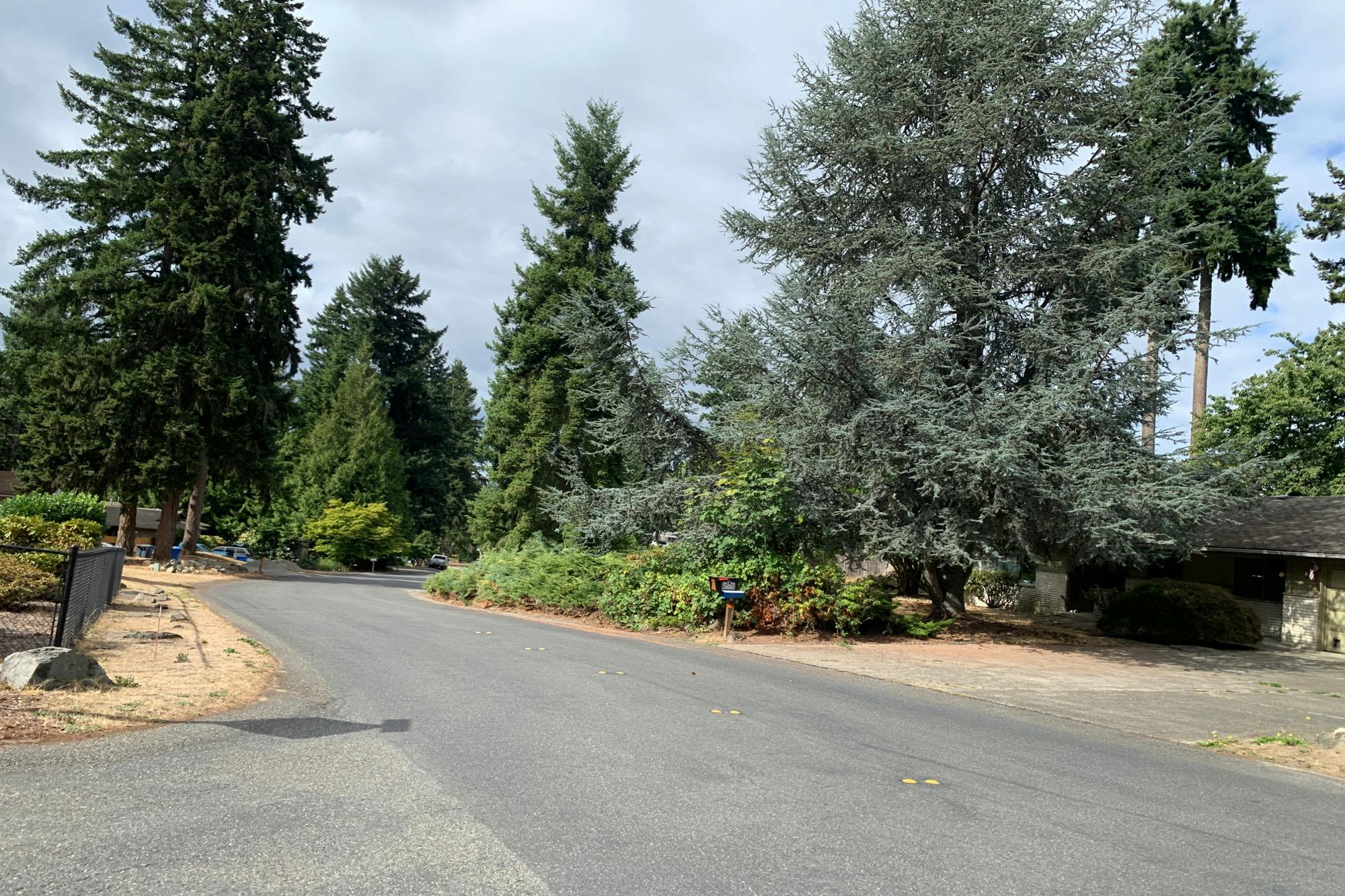 106th Avenue Ct, Puyallup, WA 98374