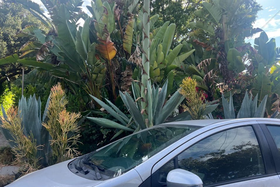 1809 San Andres St Santa Barbara, CA 93101, Santa Barbara County