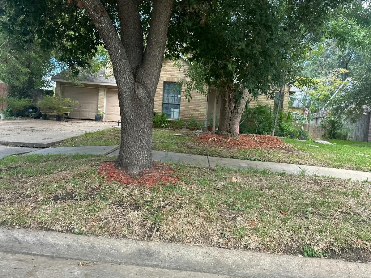 Silver Cypress Dr, Katy, TX 77449