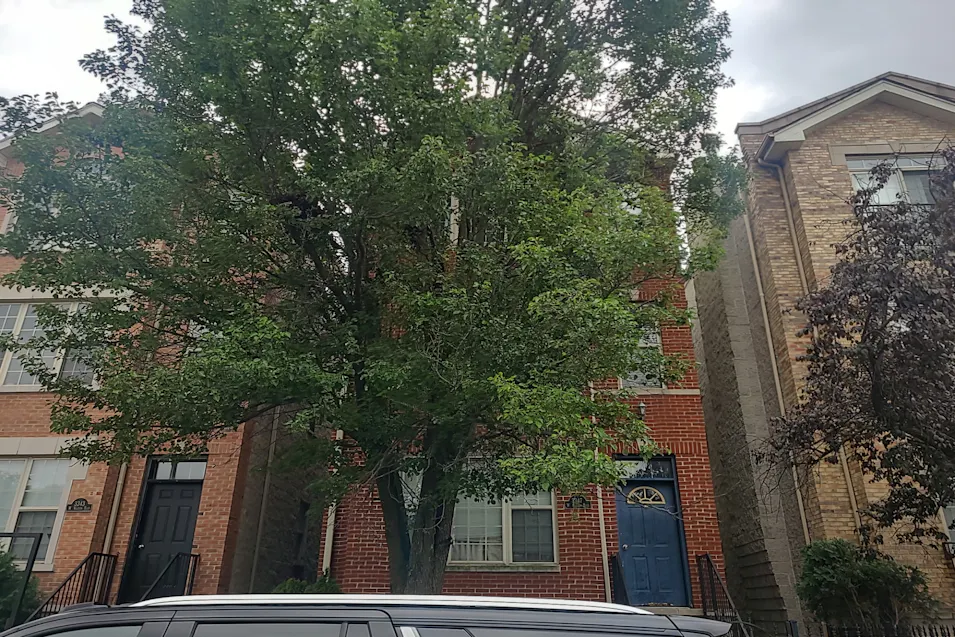 3347 W. Warren Blvd, Unit 3 Chicago, IL 60624, Cook County