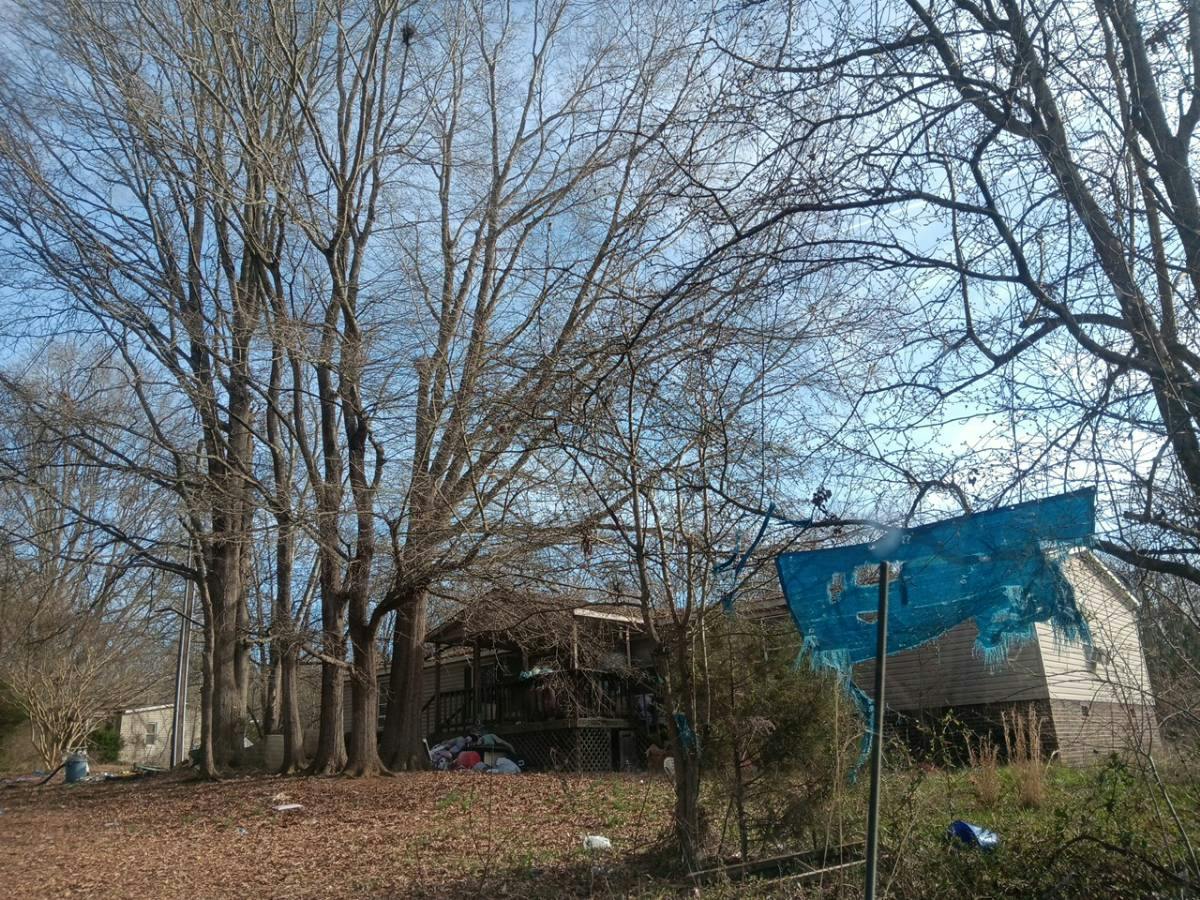 Centenary Church Rd, Mount Ulla, NC 28125 #1
