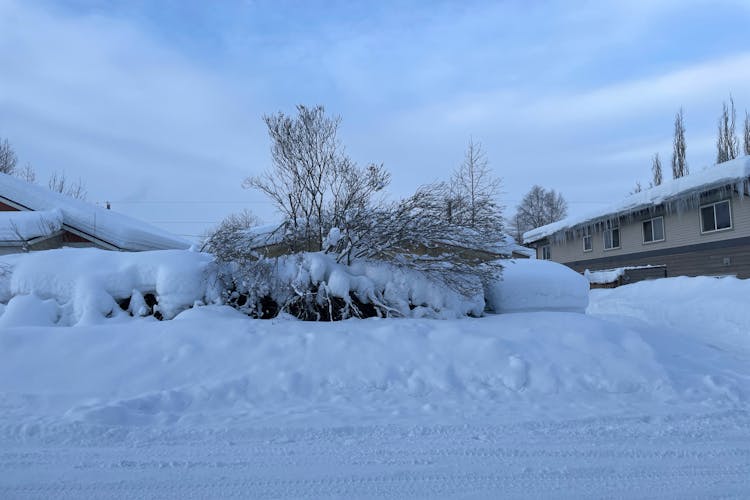 604 N Bragaw Street Anchorage, AK 99508, Anchorage County