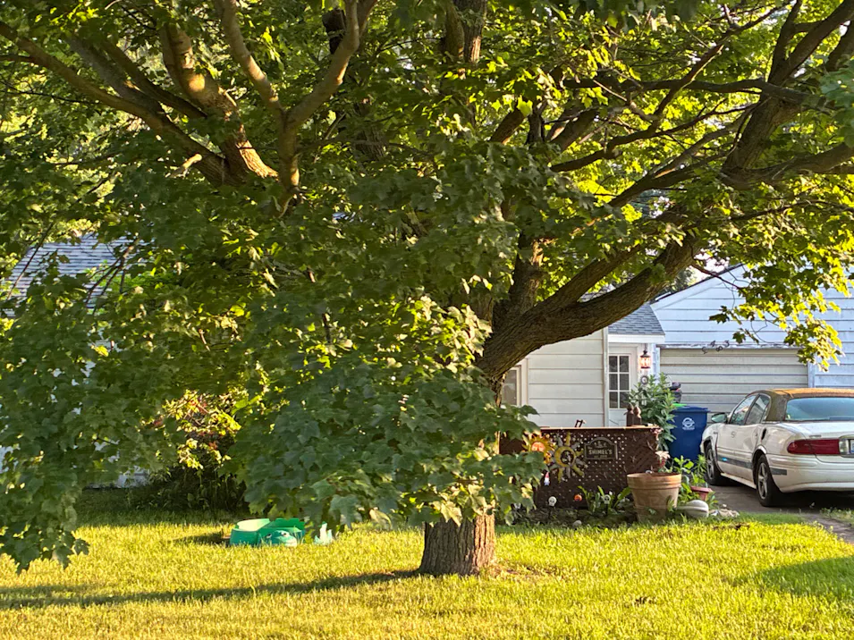 3483 Elmport Street Bridgeport, MI 48604, Saginaw County