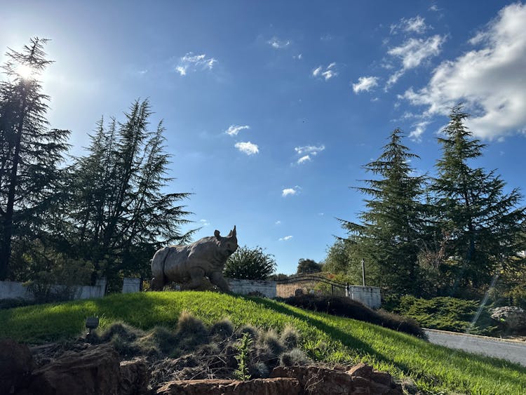 3520 Tri Family Road Pilot Hill, CA 95664, El Dorado County