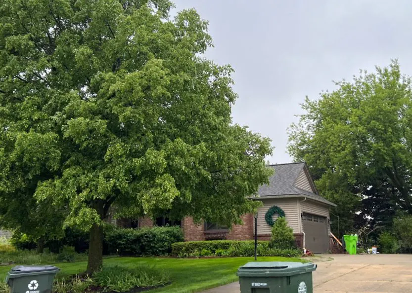 Villager Dr, Lake Orion, MI 48359 #1