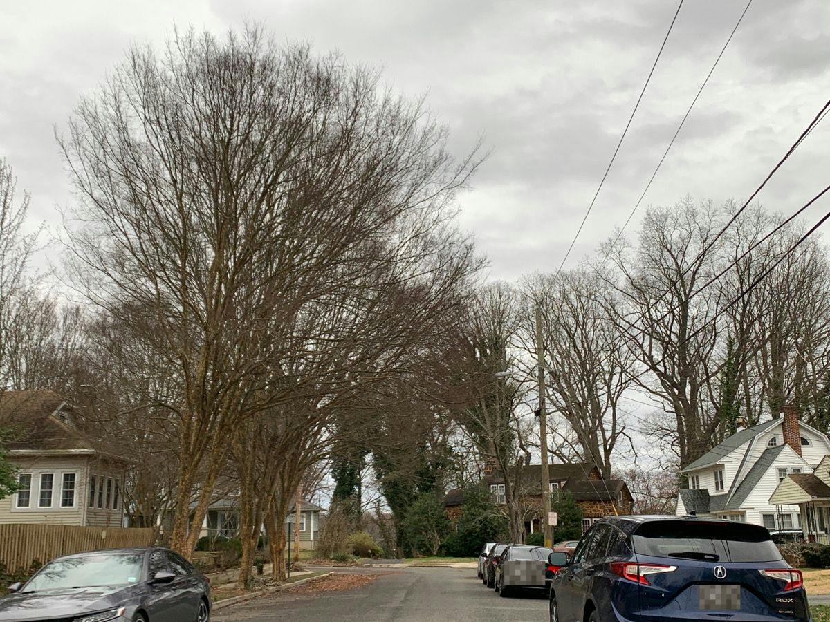 Institute Pl, Bridgeton, NJ 08302