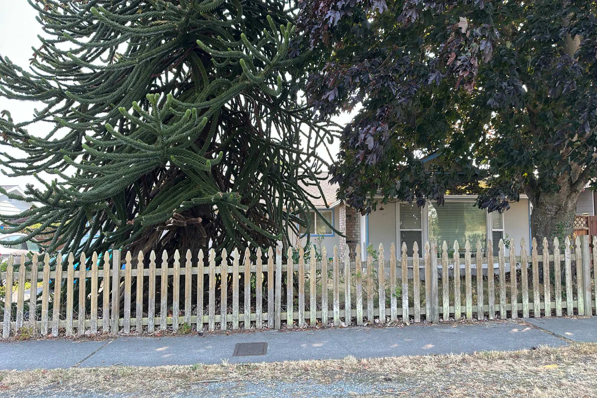 3rd Ave, Oak Harbor, WA 98277