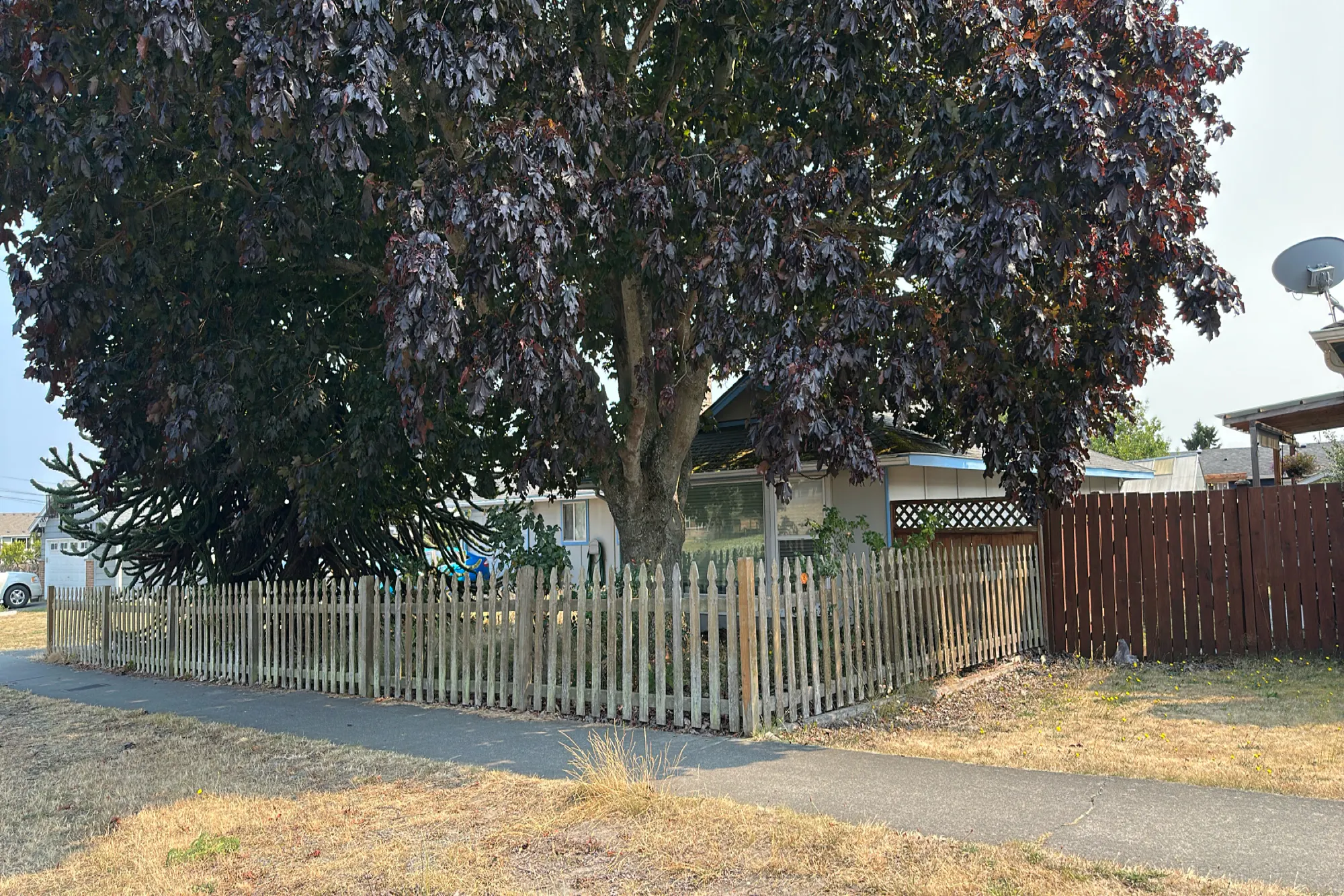 3rd Ave, Oak Harbor, WA 98277 #1