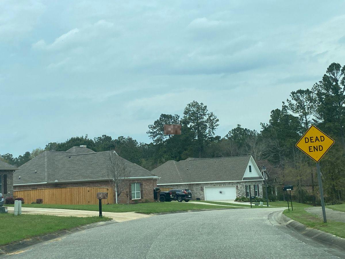 Lizenby Ln, Bay Minette, AL 36507