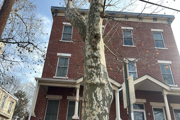 404 N 2nd St Camden, NJ 08102, Camden County