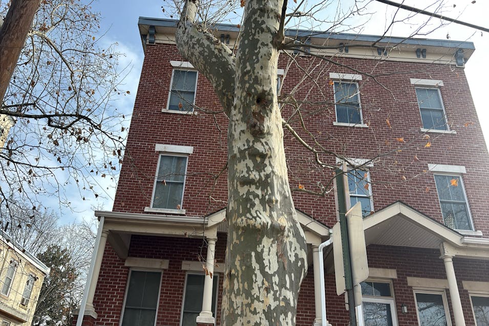 404 N 2nd St Camden, NJ 08102, Camden County