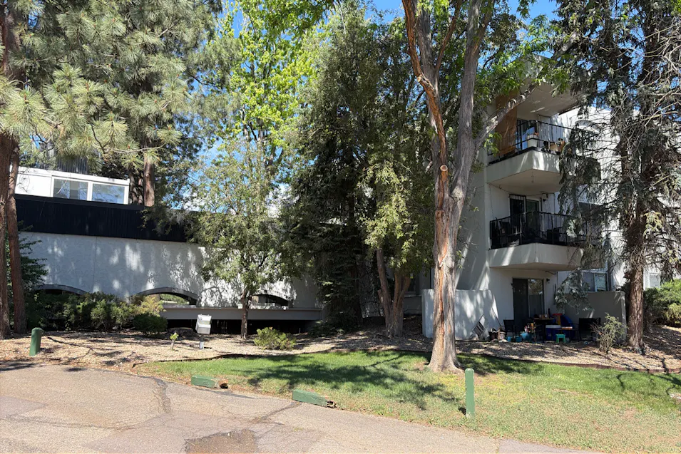 2375 S Linden Ct Unit 313 Denver, CO 80222, Denver County