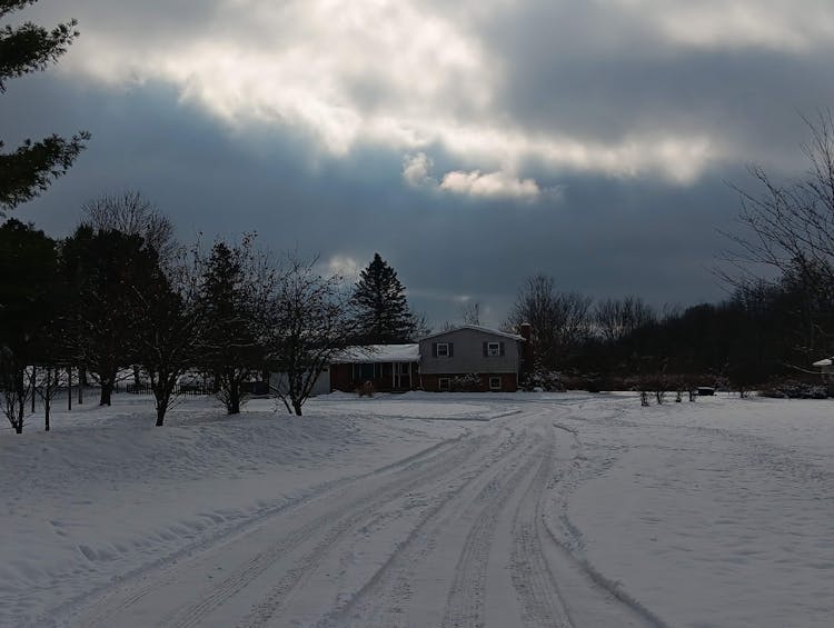 10150 Faussett Rd Fenton, MI 48430, Livingston County