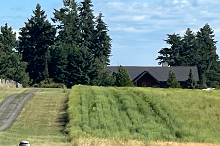 9505 E Greenbluff Rd, Colbert, WA, 99005, USA