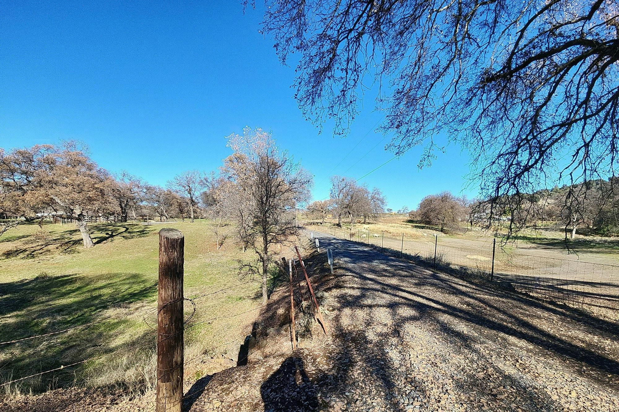 Stamp Mill Loop Rd, Jamestown, CA 95327 #1