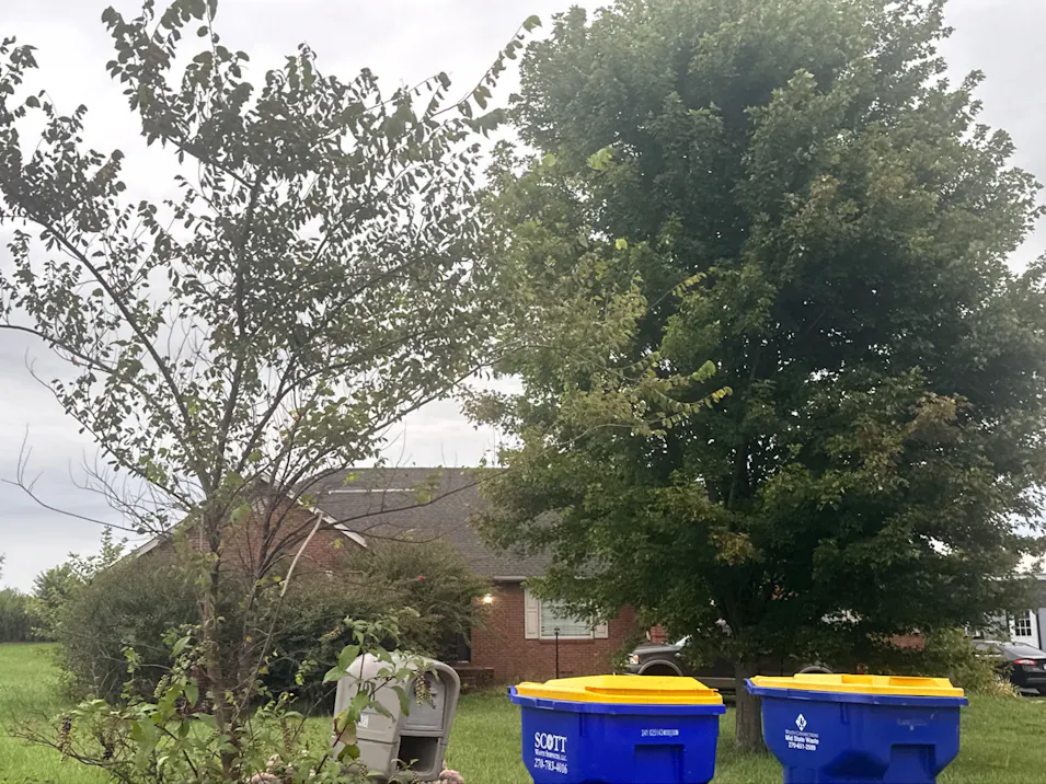 208 Buena Vista Est Cave City, KY 42127, Barren County