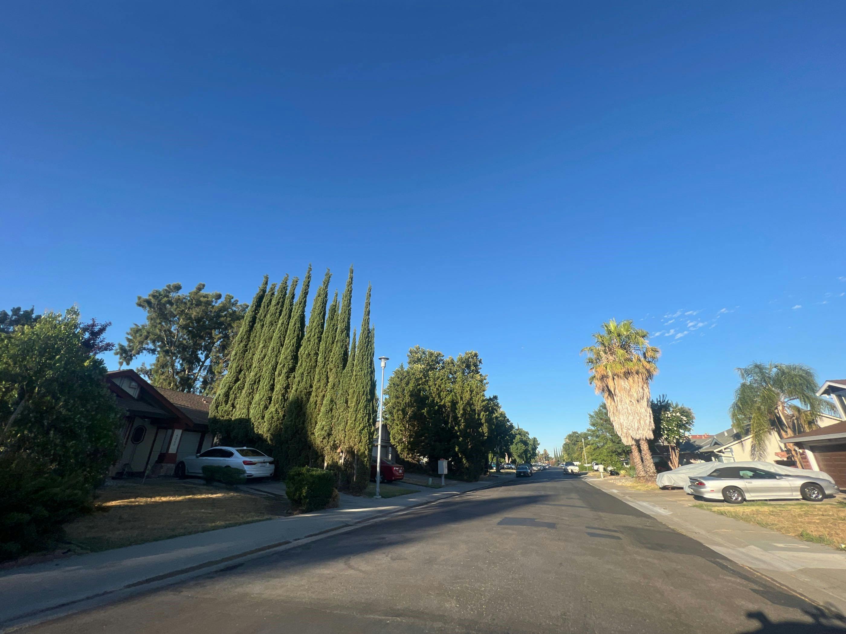 Chinquapin Way, Sacramento, CA 95823