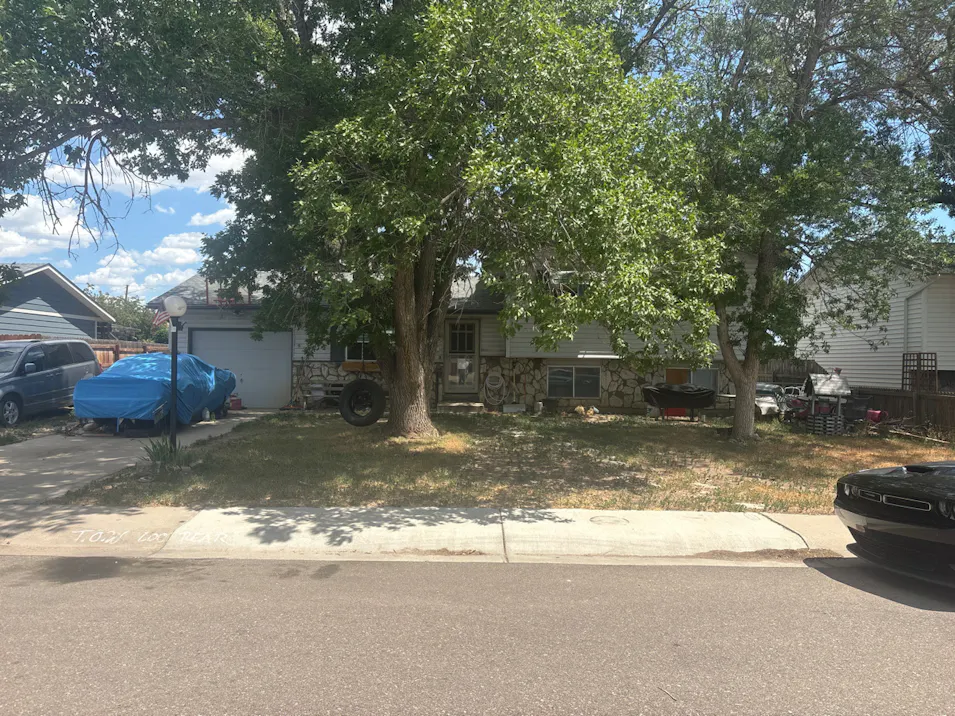 7726 Ivy Lane Wellington, CO 80549, Larimer County