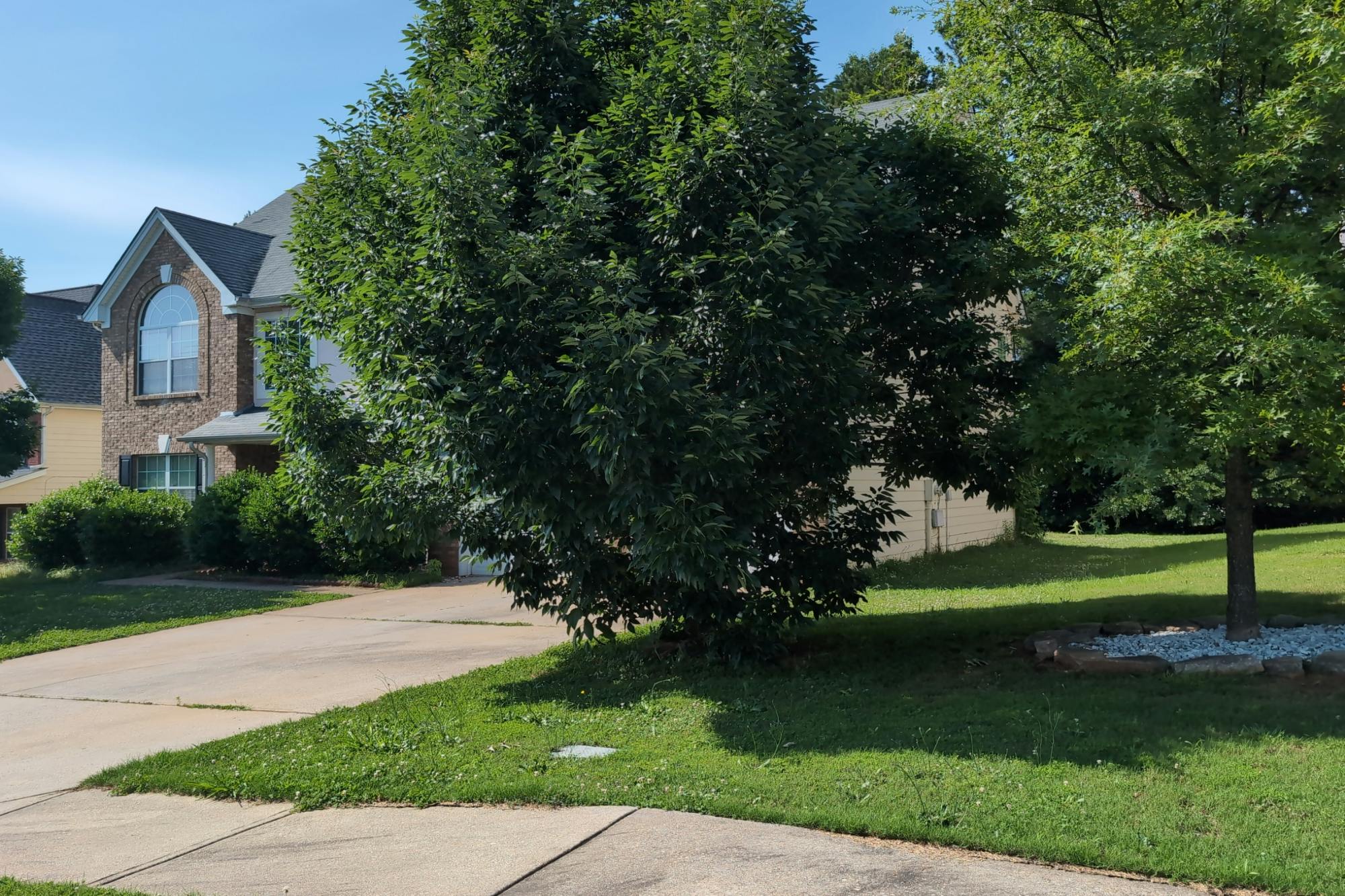 Genova Ter, Hampton, GA 30228