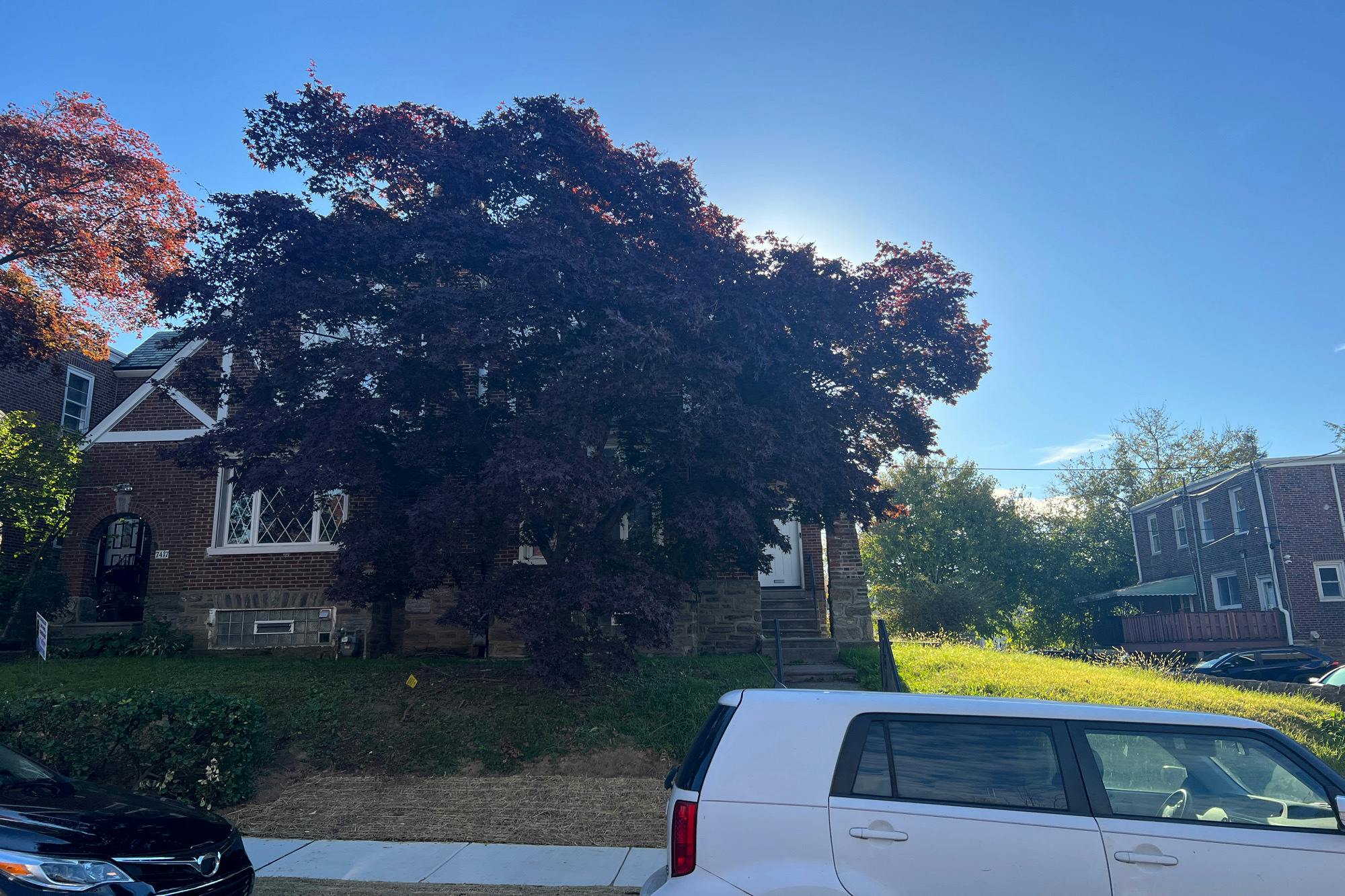 Euston Rd, Elkins Park, PA 19027