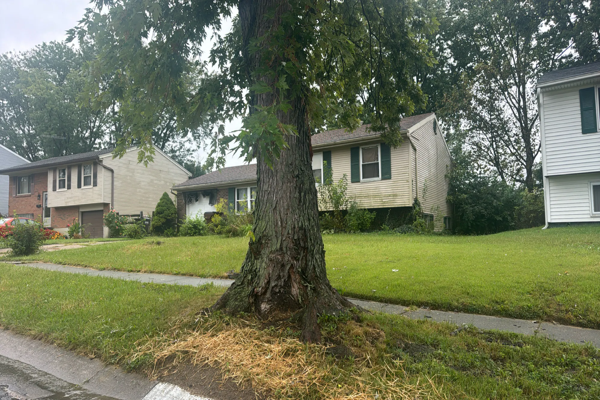 Harrogate Ct, Cincinnati, OH 45240 #1