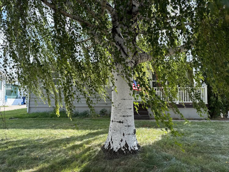 706 9th Avenue Southwest Sidney, MT 59270, Richland County