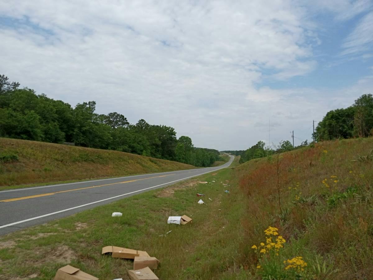 GA Highway 26 , Cusseta, GA 31805 #1