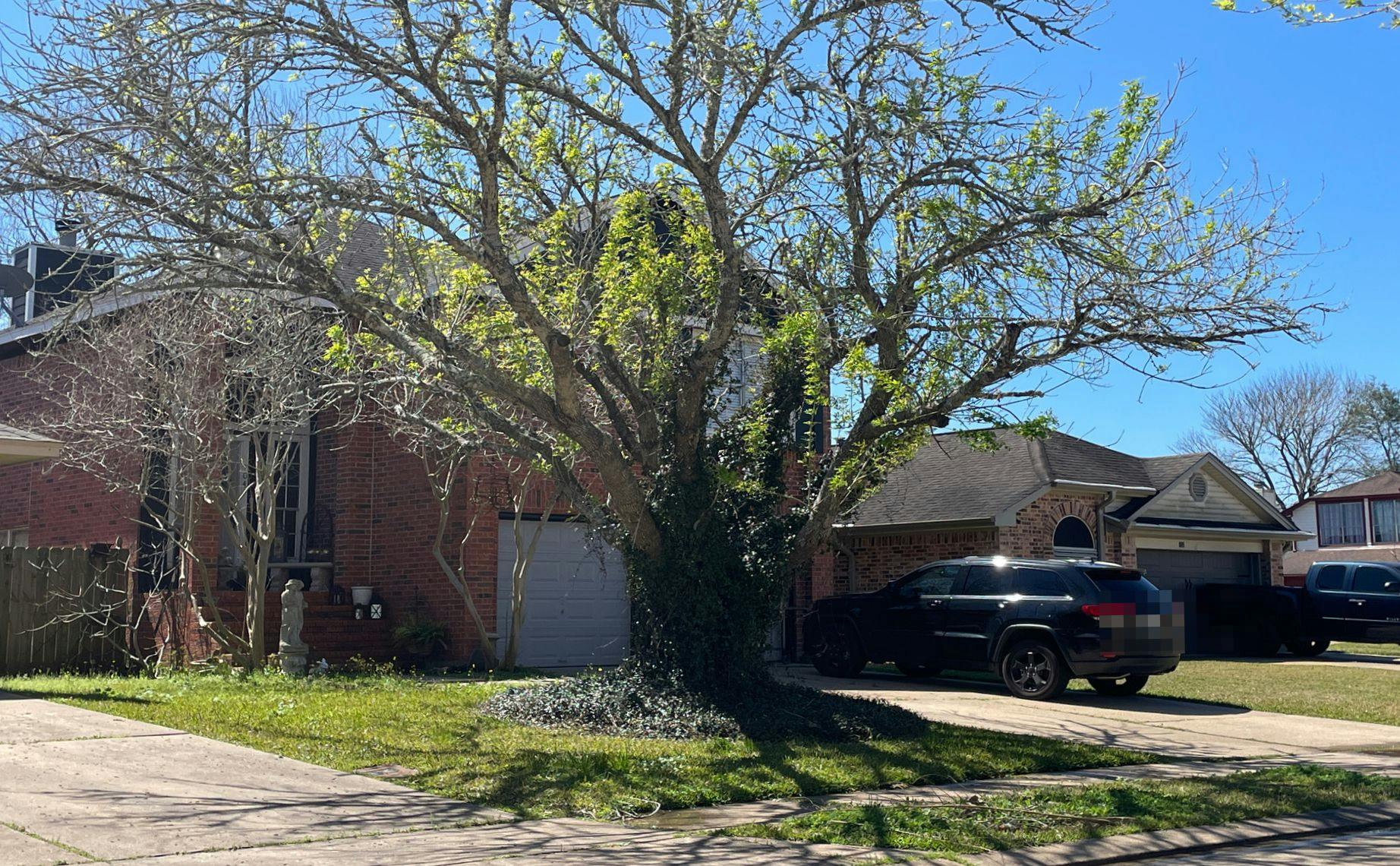 Almond Dr, Lake Jackson, TX 77566 #1