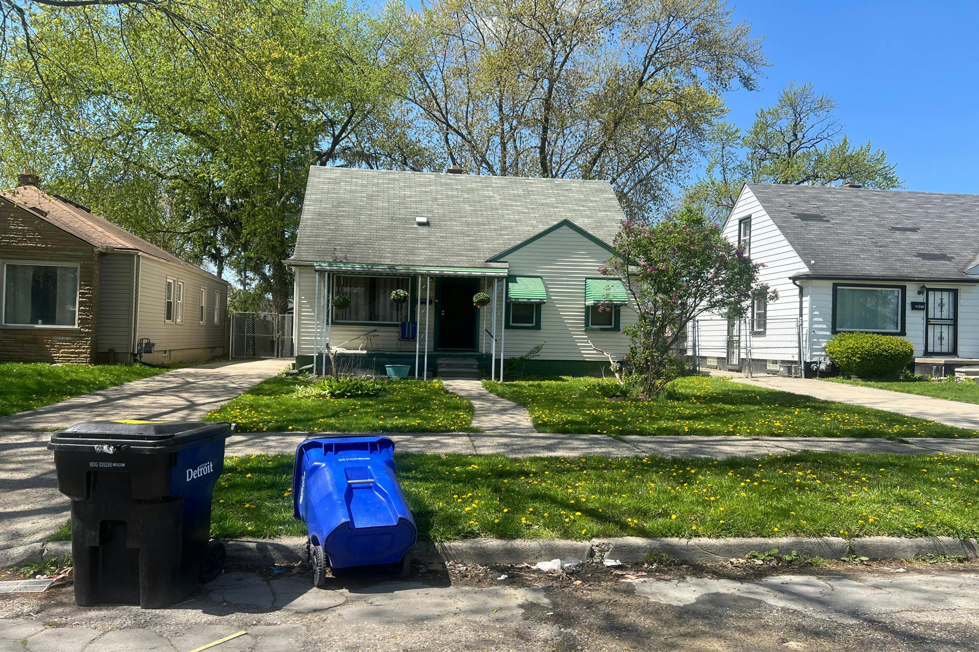 Steel St, Detroit, MI 48227 #1