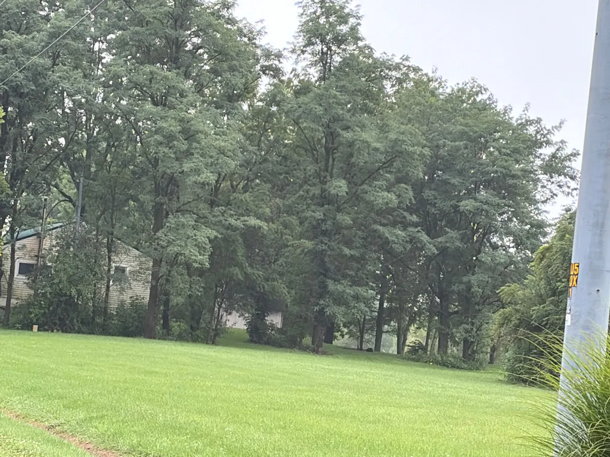 Blamer Rd, Johnstown, OH 43031 #1
