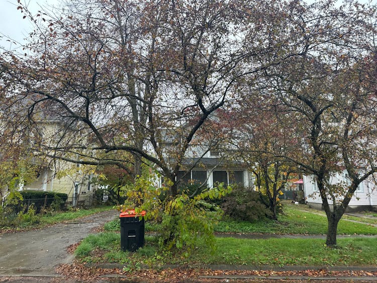 45 Linden Avenue Newark, OH 43055, Licking County