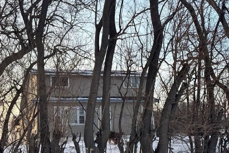 1873 Olsen Ave Blairsburg, IA 50034, Hamilton County